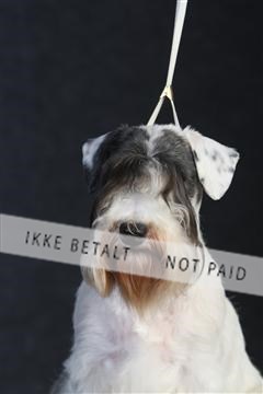 132082_le_ 01_IMG_0343.JPG