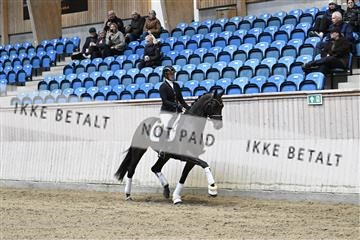 182241_kbb_01_Z094173.JPG