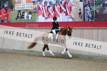 181887_mtp_04_R62_8196.JPG