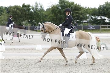 166078_rhj_01__J7R2781.JPG