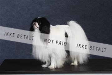 132082_le_ 01_IMG_0689.JPG