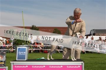 130370_se_02_IMG_6355.JPG