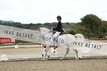 181894_mtp_03_R62_2482.JPG
