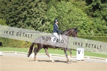 181957_mtp_01_3M5A7881.JPG