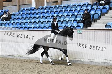 182241_kbb_01_Z094974.JPG
