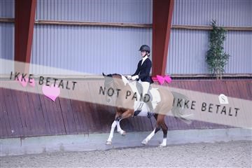 173883_mtp_01_3M5A0350.JPG