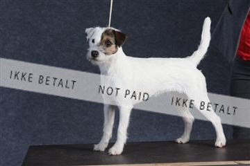 132082_le_ 01_IMG_1375.JPG