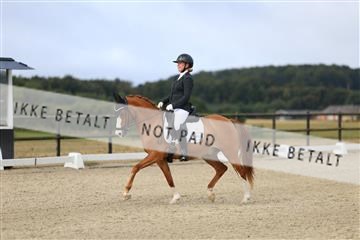 181894_mtp_04_R62_3236.JPG