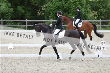 172030_mtp_01_3M5A2010.JPG