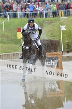 144462_bc_22__BC17169.JPG
