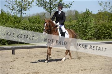 139815_ms_01__MS27380.JPG
