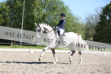168732_mtp_01_3M5A8387.JPG
