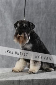 128239_le_kort_ 01_0399.JPG