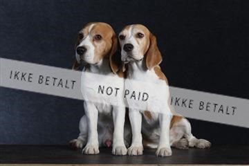 132082_le_ 01_IMG_1551.JPG