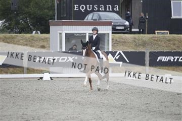 166078_rhj_01__J7R4032.JPG