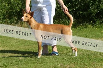 130370_se_03_IMG_6874.JPG
