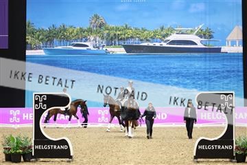 182194_mlm_02_R62_1420.JPG