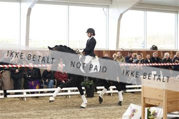 174363_kbb_01_R6II8170.JPG