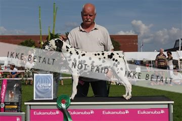 130370_se_03_IMG_7880.JPG