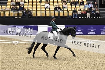 182194_kbb_03_Z091104.JPG