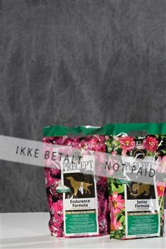 128239_le_kort_ 01_0170.JPG