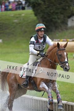 144462_bc_22__BC16384.JPG