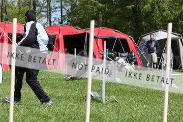134871_ms_02_IMG_2944.JPG