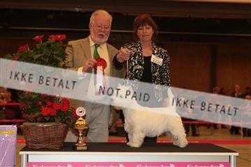 124188 _tl_02_IMG_9568.JPG