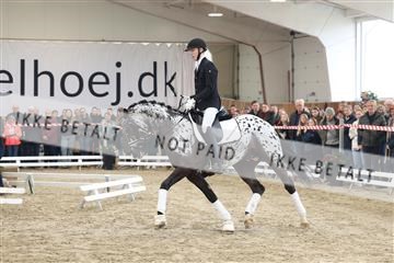 174363_kbb_01_R6II7926.JPG