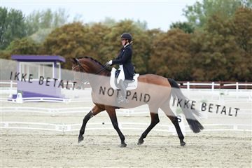 181923_mtp_04_R62_8879.JPG