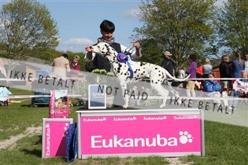 134871_ms_01_IMG_3955.JPG
