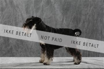 128239_le_kort_ 01_0196.JPG