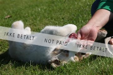 130370_se_03_IMG_6830.JPG