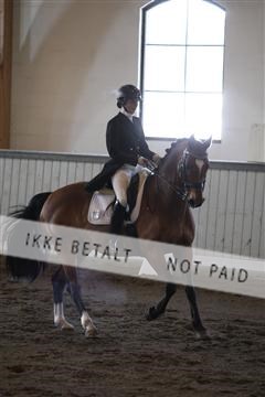 139267_kl_1_8M1Q6477.JPG
