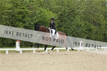 139835_sg_01_IMG_8239.JPG