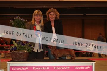 124188 _tl_02_IMG_9623.JPG