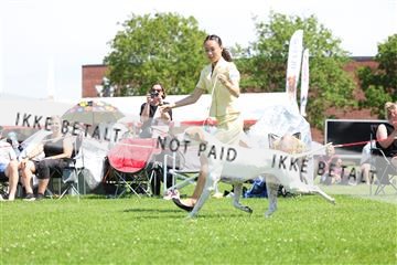 181564_rin_02_R62_1873.JPG