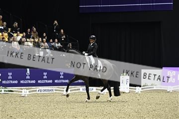 182194_kbb_03_Z091504.JPG