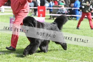134871_ms_04_IMG_1152.JPG