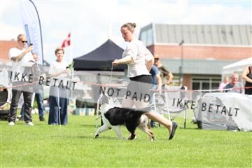 181564_rin_01_R62_7672.JPG