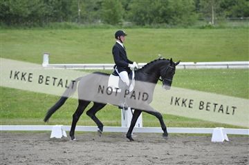 140040_abo_01__AB16627.JPG