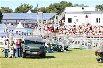 181726_mlm_02_R62_9251.JPG