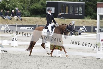 166078_rhj_01__J7R2923.JPG