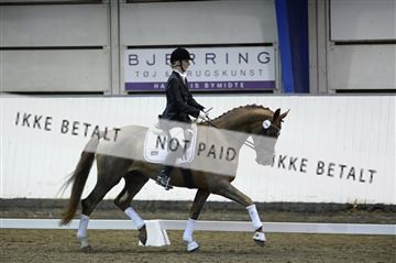 141472_abo_01__AB15829.JPG
