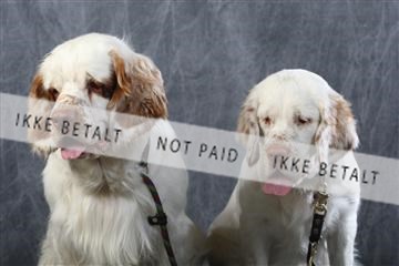 129608_le_ 01_0732.JPG