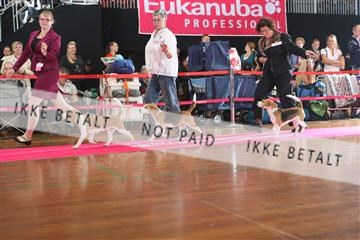 6068_ma_07_IMG_6747.JPG