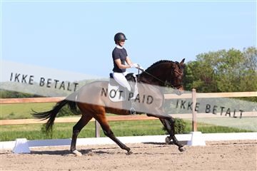 181449_bc_01R62_6238.JPG
