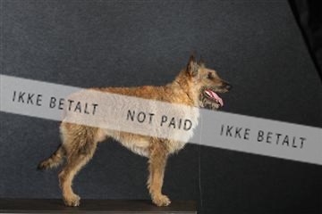 132082_le_ 01_IMG_0903.JPG