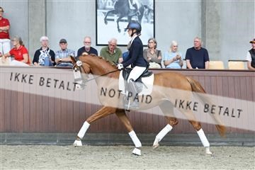 181852_mtp_04_R62_2777.JPG