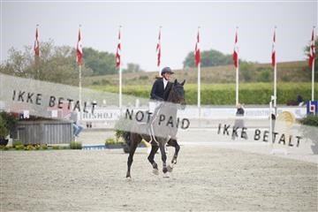 181332_kbb_02_6II5387.JPG